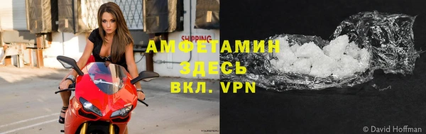 сатива Покачи