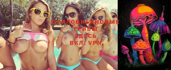 сатива Покачи