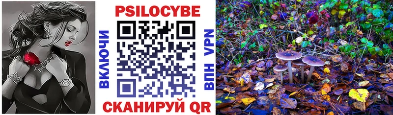 Галлюциногенные грибы ЛСД  Нижняя Тура 